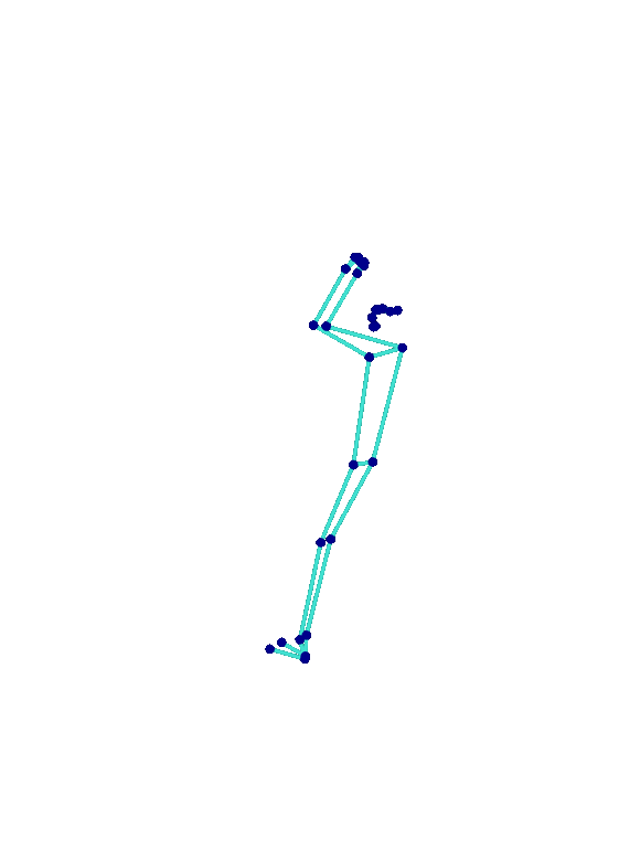 Animated preview of skeleton-based pole trick representations.
